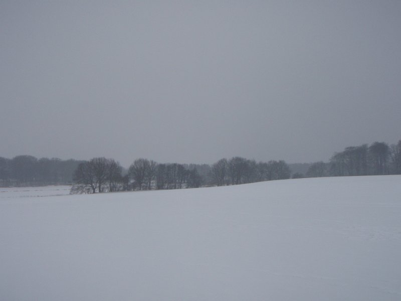 Luemmellauf Ahrensburg 124